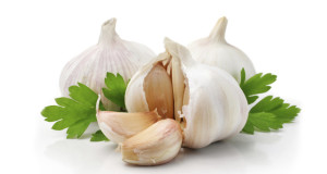 ripe garlic fruits with green parsley leaves