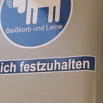 IMAG0583